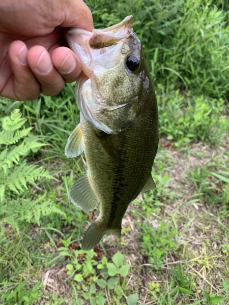 hideup 榎本英俊 ブログ写真 2019/06/03