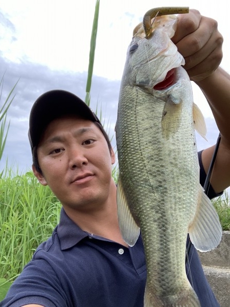 hideup 榎本英俊 ブログ写真 2019/07/05