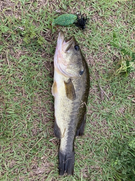 hideup 榎本英俊 ブログ写真 2019/07/11