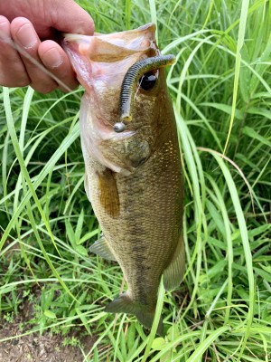 hideup 榎本英俊 ブログ写真 2019/07/15