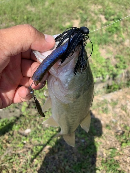 hideup 榎本英俊 ブログ写真 2019/10/05