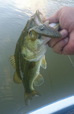 hideup 板山雅樹 ブログ写真 2017/11/06