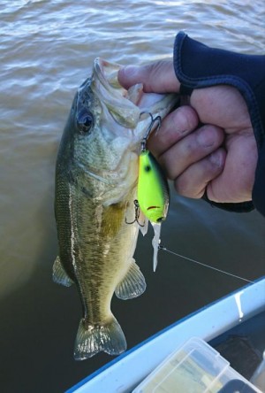 hideup 板山雅樹  ブログ写真 2016/12/16