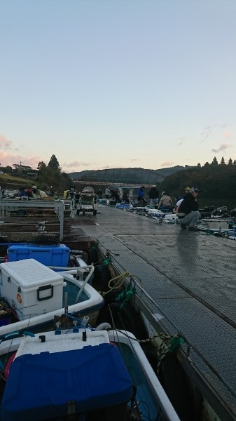 hideup 板山雅樹  ブログ写真 2017/11/08