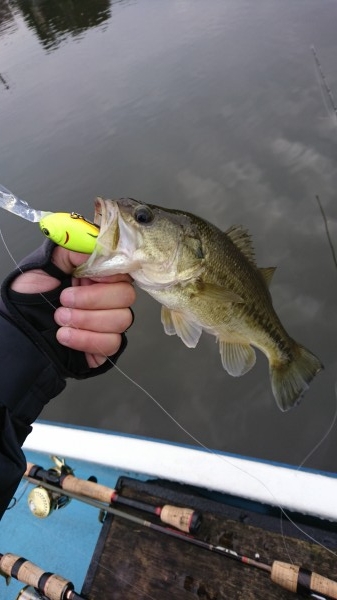 hideup 板山雅樹  ブログ写真 2016/12/14