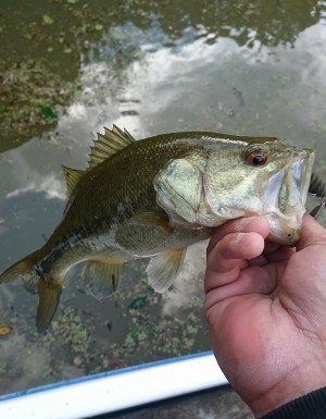 hideup 板山雅樹  ブログ写真 2017/11/08