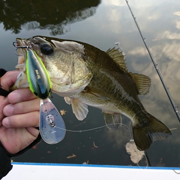 hideup 板山雅樹  ブログ写真 2016/12/02