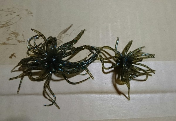 hideup 板山雅樹  ブログ写真 2016/12/03