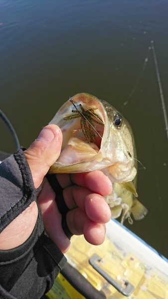 hideup 板山雅樹  ブログ写真 2016/12/13