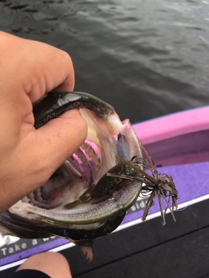 hideup 板山雅樹  ブログ写真 2017/08/10