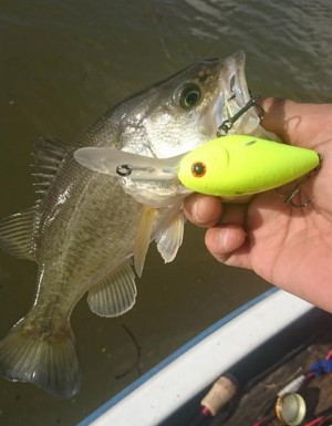 hideup 板山雅樹 ブログ写真 2017/11/06