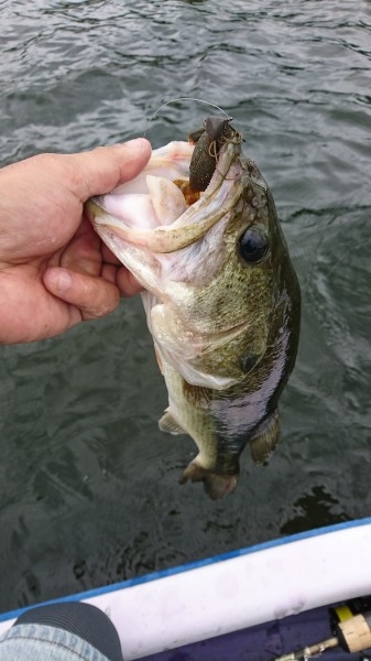 hideup 板山雅樹 ブログ写真 2017/08/09