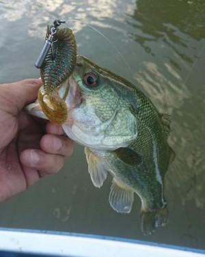 hideup 板山雅樹 ブログ写真 2017/11/06