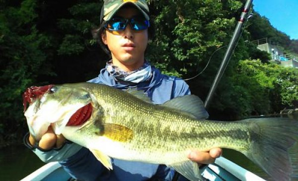 hideup 板山雅樹  ブログ写真 2016/12/08