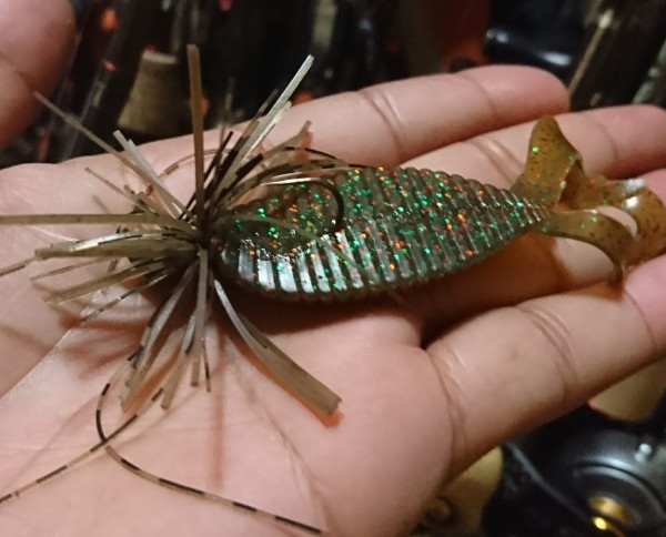 hideup 板山雅樹  ブログ写真 2017/10/01