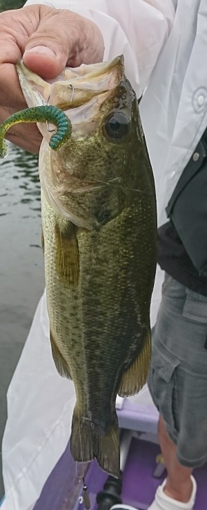 hideup 板山雅樹  ブログ写真 2017/08/03