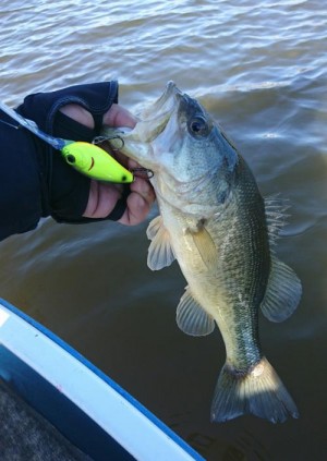 hideup 板山雅樹  ブログ写真 2016/12/16