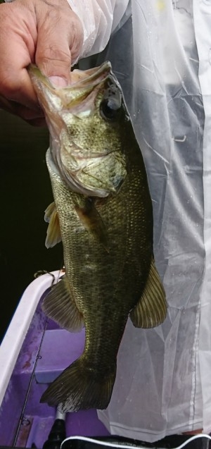 hideup 板山雅樹  ブログ写真 2017/08/03