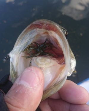 hideup 板山雅樹  ブログ写真 2016/12/08