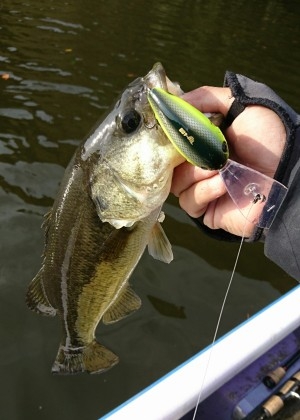 hideup 板山雅樹  ブログ写真 2016/12/02