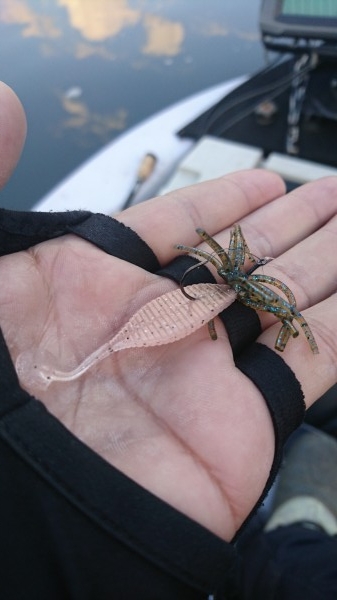 hideup 板山雅樹  ブログ写真 2016/12/13