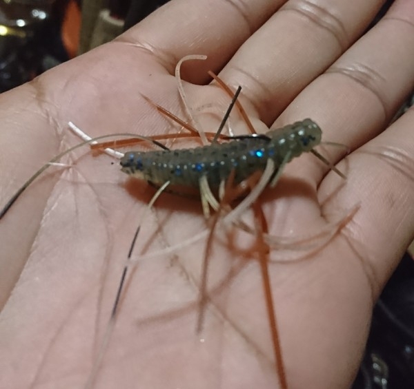 hideup 板山雅樹  ブログ写真 2017/10/01