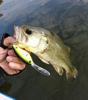 hideup 板山雅樹  ブログ写真 2016/12/02