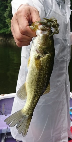 hideup 板山雅樹  ブログ写真 2017/08/03