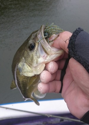 hideup 板山雅樹  ブログ写真 2016/12/03