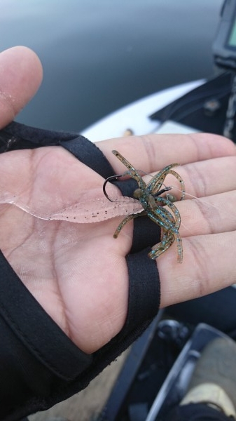 hideup 板山雅樹  ブログ写真 2016/12/08