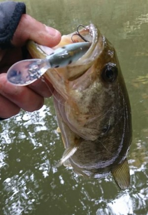 hideup 板山雅樹  ブログ写真 2017/12/02