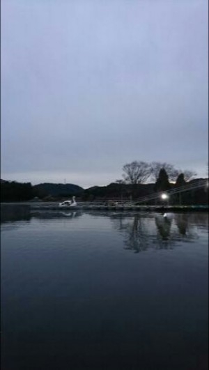 hideup 板山雅樹  ブログ写真 2016/12/16