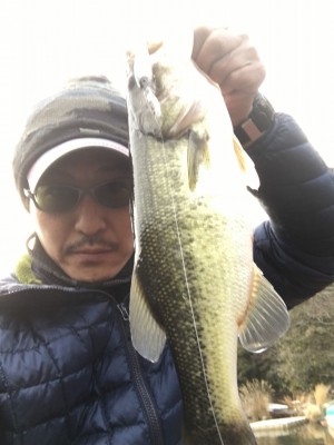 hideup 板山雅樹  ブログ写真 2017/03/29