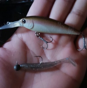 hideup 板山雅樹  ブログ写真 2017/03/27