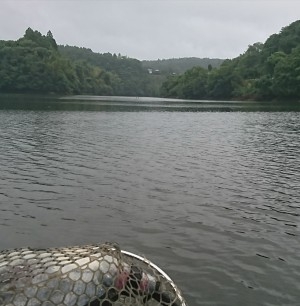 hideup 板山雅樹  ブログ写真 2017/08/03