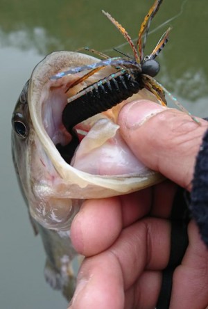 hideup 板山雅樹  ブログ写真 2017/12/02