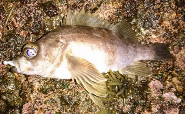 hideup 板山雅樹  ブログ写真 2018/03/01