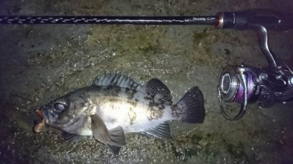 hideup 板山雅樹  ブログ写真 2018/03/03