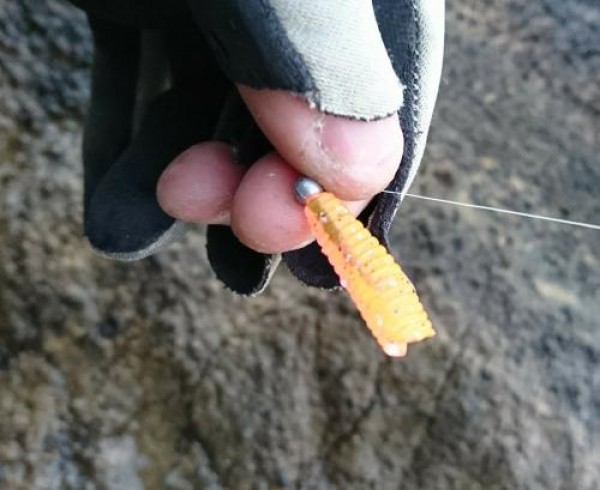 hideup 板山雅樹  ブログ写真 2018/03/03