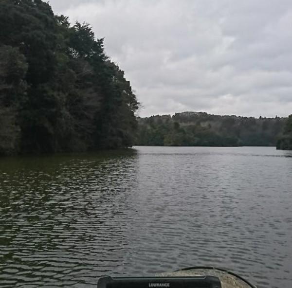 hideup 板山雅樹  ブログ写真 2018/03/05