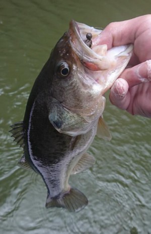 hideup 板山雅樹  ブログ写真 2018/03/05