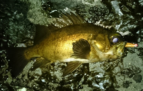 hideup 板山雅樹 ブログ写真 2018/03/08