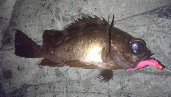 hideup 板山雅樹 ブログ写真 2018/03/08