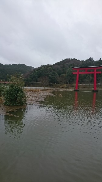 hideup 板山雅樹  ブログ写真 2018/03/10