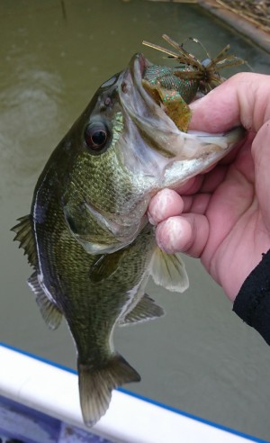 hideup 板山雅樹  ブログ写真 2018/03/10