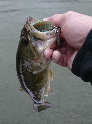 hideup 板山雅樹  ブログ写真 2018/03/10