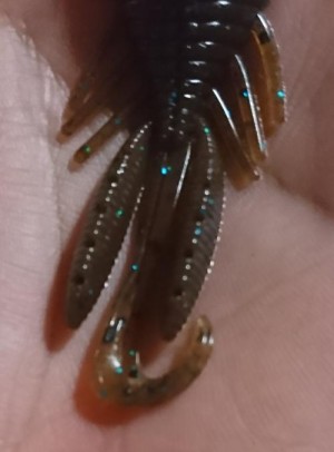 hideup 板山雅樹  ブログ写真 2018/04/01