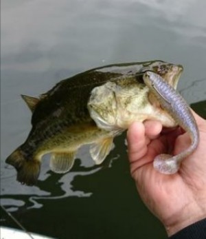 hideup 板山雅樹  ブログ写真 2018/05/05