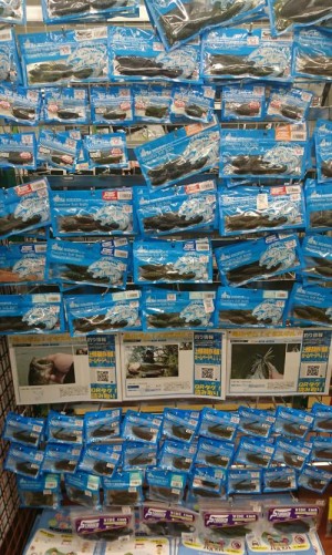 hideup 板山雅樹  ブログ写真 2018/05/07