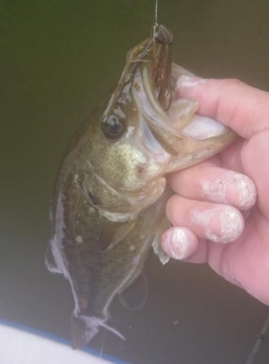 hideup 板山雅樹  ブログ写真 2018/05/10